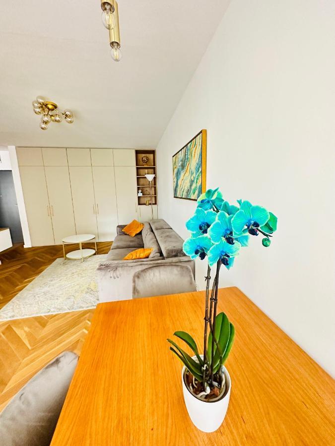Bel Dom - The Central, Spacious 2 Rooms Luxury Apartment クルージュ＝ナポカ エクステリア 写真